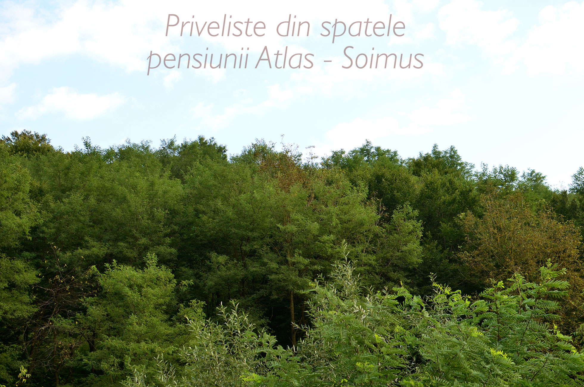 Priveliste din spatele pensiunii Atlas - Soimus