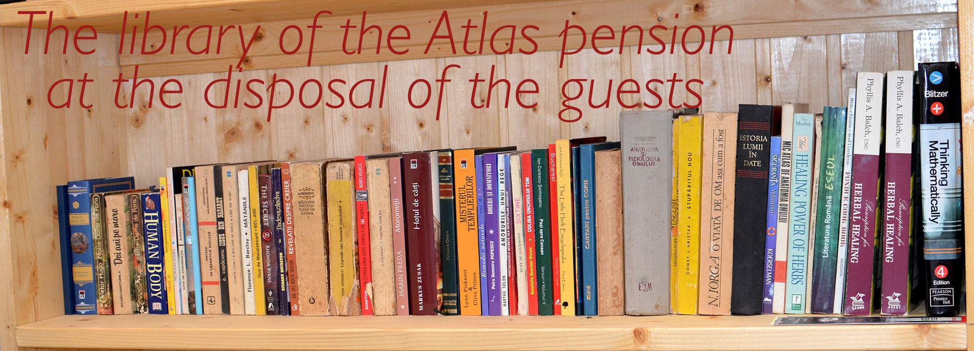 The library of the Atlas pension at the disposal of the guests
